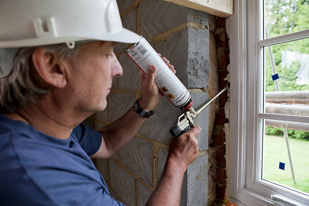 Best Insulation Air Sealing  in Fruitville, FL